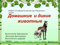 Презентация для дошкольников Домашние и дикие животные.