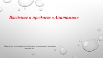 Презентация по дисциплине Анатомия и физиология человека на тему: Введение в предмет анатомия