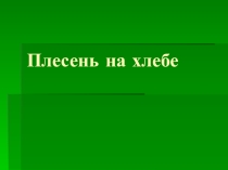 Презентация  Плесень на хлебе