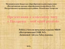 Презентация к классному часу Пестрецы - мой край родной
