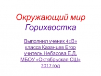 Презентация по окружающему миру - Горихвостка