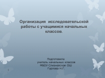 Презентация  Организация исследовательской деятельности в начальной школе