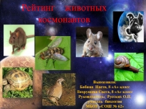 Презентация для классных часов Рейтинг животных космонавтов