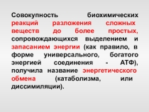 Энергетический обмен