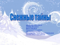 Снежные тайны
