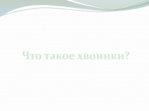 Презентация к уроку окружающего мира в 1 классе по теме Что такое хвоинки?