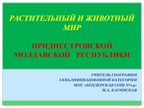 Презентация по географии на тему  Растительный и животный мир Приднестровья 1 часть