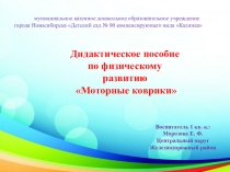 Дидактическое пособие Моторные коврики