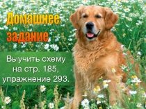 Презентация по русскому языку на тему Обособленные определения (8 класс)