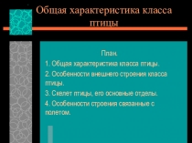 Презентация по биологии на тему Птицы. Общая характеристика класса Птицы