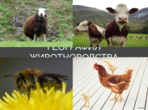 Презентация по географии на тему География животноводства (10 класс)