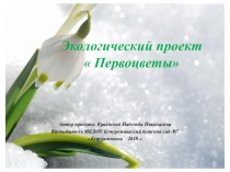 Презентация Экологический проект Первоцветы