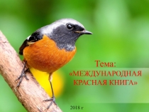 Презентация Международная красная книга