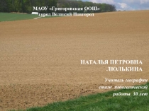 Презентация по географии на тему Почвенные ресурсы (8 класс)
