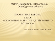 Проектная работа сенсорное развитие детей