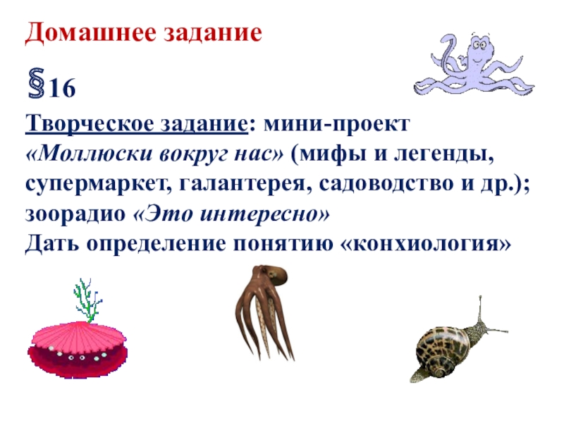 Презентация к уроку биологии 7 класс, ФГОС. Тема урока: Тип Моллюски Домашнее задание§16Творческое задание: мини-проект «Моллюски вокруг нас» (мифы и легенды, супермаркет, Домашнее задание§16Творческое задание: мини-проект «Моллюски вокруг нас» (мифы и легенды, супермаркет, галантерея, садоводство и др.); зоорадио «Это