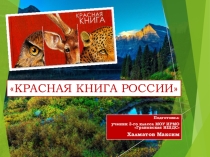 Окружающий мир, Презентация Красная книга 3 класс Школа России.