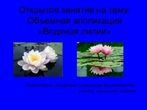 Водяная лилия