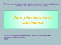 Презентация к уроку Эти удивительные животные