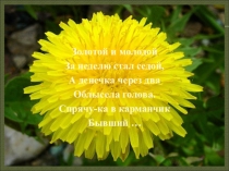 Презентация по литературному чтению на тему М.Пришвин. Золотой луг (2 класс)