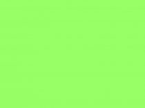 Презентация по русскому языку на тему Дифференциация ь-показателя мягкости согласного и разделительного ь