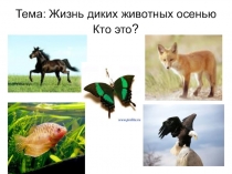 Презентация по познанию мира на тему: Жизнь диких животных осенью (1 класс)