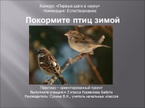 Презентация проекта Корвеновой Байрты, учащейся 3 класса, на тему Покормите птиц зимой!
