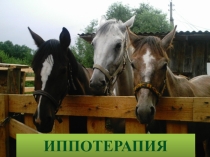 Презинтация по Лечебной верховой езде ( ЛВЕ ) - иппотерапия