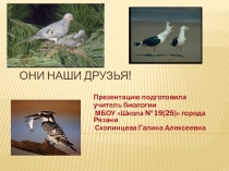 Презентация по биологии на тему Они наши друзья 7 класс