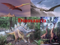 Презентация к уроку Dinosauria