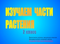 Презентация Изучаем части растения по познанию мира для 2 класса