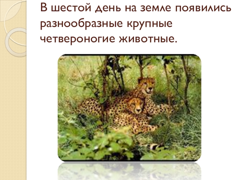 Презентация по Основам Православной культуры на тему Бог и человек в Православии ( 4 класс) В шестой день на земле появились разнообразные крупные четвероногие животные. В шестой день на земле появились разнообразные крупные четвероногие животные.