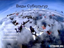 Презентация Виды молодёжных субкультур