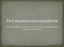 Разработка вегетативного размножения Тамарикса ветвистого