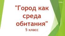 Презентация по ОБЖ Город как среда обитания