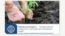 Презентация по географии на тему Земельные ресурсы 10 класс