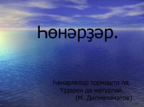 Презентация по башкирскому языку на тему Профессии