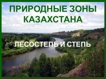 Презентация Природные зоны Казахстана: лесостепь и степь, 8 класс