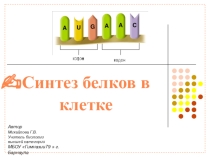 Презентация по биологии на тему Трансляция биосинтеза белка (10 класс)