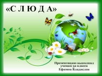 Слюда
