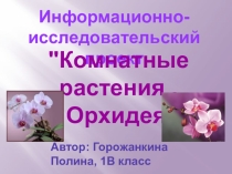 Окружающий мир. Тема: Уход за комнатными растениями