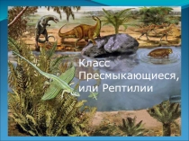 Презентация к уроку Класс Пресмыкающиеся, или Рептилии. Особенности внешнего строения и скелета пресмыкающихся.