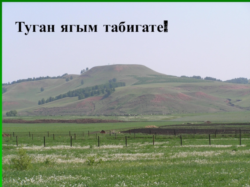 Мастер класс Татарстаным! Презентация. Туган ягым табигате! Туган ягым табигате!