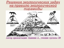 РЕШЕНИЕ ЭКОЛОГИЧЕСКИХ ЗАДАЧ НА ПРАВИЛО ЭКОЛОГИЧЕСКОЙ ПИРАМИДЫ