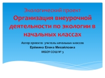 Экологический проект  Организация внеурочной деятельности по экологии в начальных классах