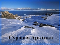 Презентация по теме Арктика 8-9 классы