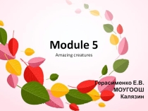 Amazing creatures, Module 5 (a)