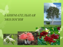 Презентация к внеклассному занятию Занимательная экология