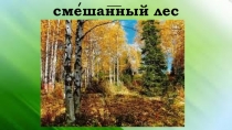 Презентация к уроку предметно-практического обучения на тему Макет. Смешанный лес (4 класс I вида)
