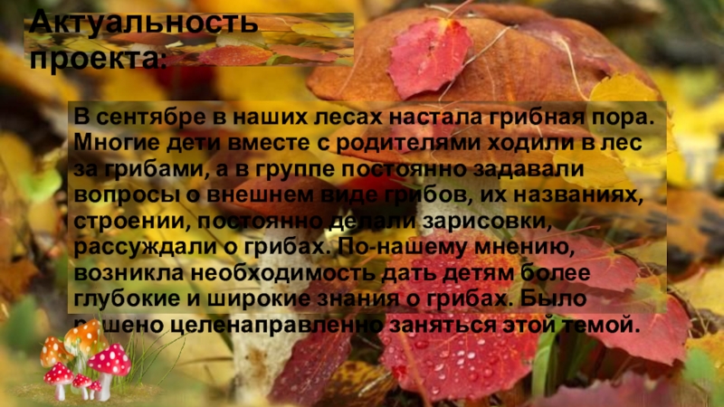 Проект Грибы в логопедической группе Актуальность проекта:В сентябре в наших лесах настала грибная пора. Многие дети Актуальность проекта:В сентябре в наших лесах настала грибная пора. Многие дети вместе с родителями ходили в лес